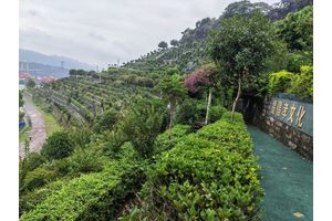 重庆江北寺坪陵园 寄托哀思